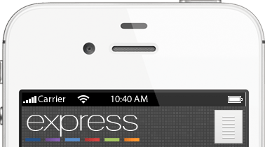 PPS Express smartphone view